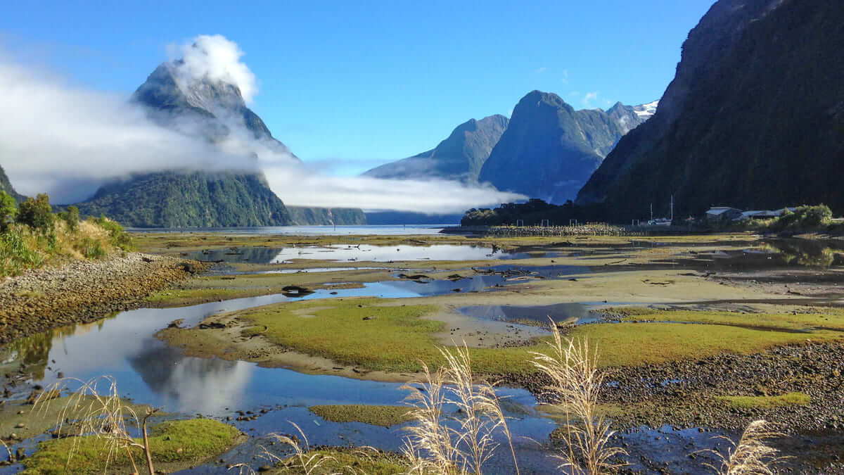 Uma cultura diferente: conheça a Nova Zelândia
